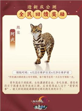 南昌天龙八部私服